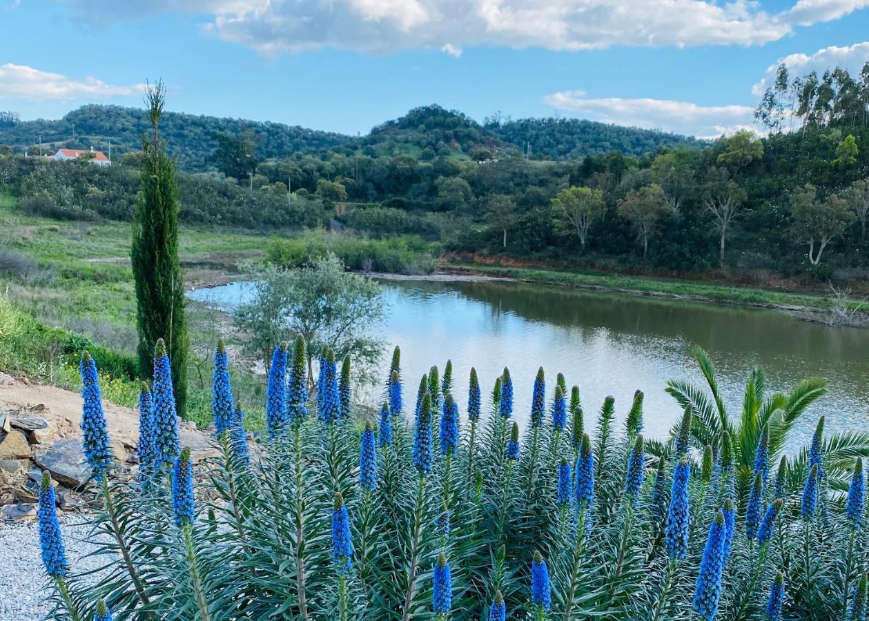 Figs On The Funcho Self Catering - A River Side Location Pedreiras  Exterior photo